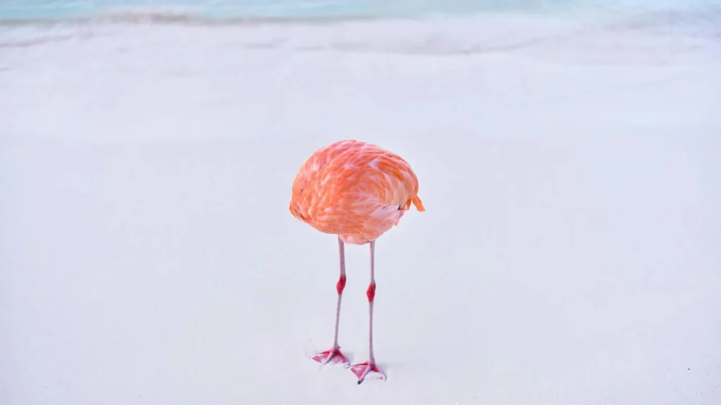 F L A M I N G O N E by Miles Astray which won an AI image contest